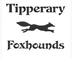 tipperaryfoxhound